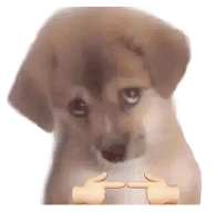 Meme 1